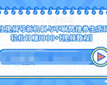 视频号新机制与不刷赞撸养生茶玩法,轻松日赚1000+-知一资源网