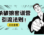 杀破狼密训营:B站霸屏引流的原理及方式+搭建赚钱的内容法则-知一资源网