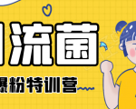 引流菌2020全网爆粉特训营(QQ群霸屏,知乎引流,群裂变,自动化引流等)-知一资源网