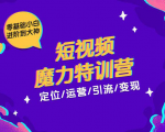 零基础小白进阶到大神《短视频魔力特训营》定位-运营-引流-变现-知一资源网