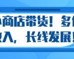 微信小商店带货，爆单多倍收入，长期复利循环！日赚300-800元不等-知一资源网
