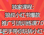 狼叔小红书爆款推广引流训练课7.0,手把手带你玩转小红书-知一资源网