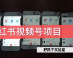 野路子小红书视频号1.0项目,直接上手操作就能赚钱的视频号项目-知一资源网