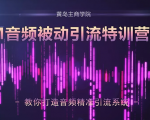 黄岛主·FM音频引流特训营2.0:独家引流模式,单账号50W+播放量,轻松变现-知一资源网