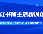 小红书博主涨粉训练营:一篇笔记爆涨10000粉及引流微信的技巧-知一资源网