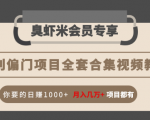 暴利偏门项目全套合集视频教程:你要的日赚1000+月入几万+项目都有-知一资源网