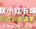 狼叔小红书爆款推广引流训练课第12期,手把手带你玩转小红书-知一资源网