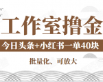 工作室撸金二件套:撸今日头条原创收益+小红书一单利润40块项目-知一资源网