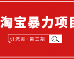 引流哥·第3期淘宝暴力项目:每天10-30分钟的空闲时间,有淘宝号,会玩淘宝-知一资源网
