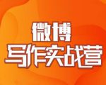 村西边老王·微博超级写作实战营,帮助你粉丝猛涨价值999元-知一资源网