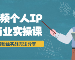 短视频个人IP商业实操课,百万粉丝实战方法分享,小白也能实现流量变现-知一资源网