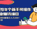 20多个新手可操作的副业赚钱项目：业余时间0基础日入几500+实操分享-知一资源网