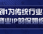 从0到1为传统行业打造抖音商业IP简单高效的保姆级攻略-知一资源网
