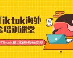 最新Tiktok海外掘金培训课堂:带你玩转Tiktok暴力涨粉轻松变现-知一资源网