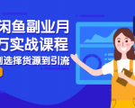 2021闲鱼副业月入过万实战课程:从开店到选择货源到引流,全程实战教学-知一资源网