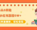 生财小红书涨粉变现:新账号从0开始3个月小红书涨粉5W+实现单篇爆粉-知一资源网