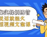 文案实操训练营,只说话就能火的短视频文案课-知一资源网