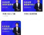 湛北·抖音小店入门进阶高阶合集，八大玩法打造百万店铺-知一资源网
