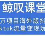 鲸叹号·海外TIKTOK训练营,百万项目海外版抖音tiktok流量变现玩法-知一资源网