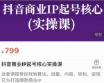 抖音商业IP起号核心实操课,带你玩转算法,流量,内容,架构,变现-知一资源网
