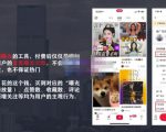 麦子互娱短视频带货·0基础做好物分享账号,无需出镜无需货源无需拍摄-知一资源网