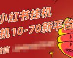 视频号小红书抖音挂机项目，小白无脑操作，按照要求来，单号每天几十米-知一资源网