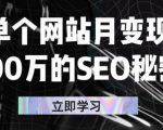 单个网站月变现100万的SEO秘密,百分百做出赚钱站点-知一资源网