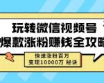 玩转微信视频号爆款涨粉赚钱全攻略，快速涨粉百万变现万元秘诀-知一资源网