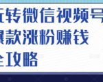 玩转微信视频号爆款涨粉赚钱全攻略，让你快速抓住流量风口，收获红利财富-知一资源网