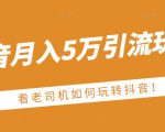 老古董·抖音月入5万引流玩法,看看老司机如何玩转抖音(附赠:抖音另类引流思路)-知一资源网