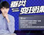 张sir·垂类变现课,抖音带货新手才看粉丝量,高手都看变现效率-知一资源网