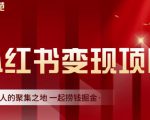 渣圈学苑·小红书虚拟资源变现项目,一起捞钱掘金价值1099元-知一资源网