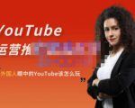外国人眼中的YouTube该怎么玩？Elisa·YouTube运营推广实战技巧-知一资源网