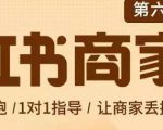 贾真-小红书商家营第6期商家版,21天带货陪跑课,让商家丢掉付流量-知一资源网