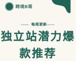 【跨境B哥】独立站潜力爆款选品推荐,测款出单率高达百分之80-知一资源网