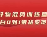 万三好物混剪训练营:小白0到1带货变现课-知一资源网