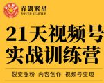 张萌21天视频号实战训练营,裂变涨粉、内容创作、视频号变现 价值298元-知一资源网