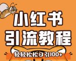 小红书运营引流全系列课程,每天引流100精准粉-知一资源网