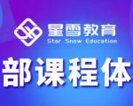 星雪教育淘系高级班，更全的运营提升方案，零基础由浅入深，店铺最新玩法-知一资源网