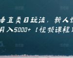 虚拟项目垂直类目玩法,新人快速起店,月入5000+【视频课程】-知一资源网
