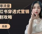 苏歆：小红书穿透式营销收割攻略，引爆流量，助你玩转小红书-知一资源网