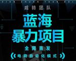 引流哥蓝海暴力躺赚项目:无需发圈无需引流无需售后,每单赚50-500(教程+线报群)-知一资源网