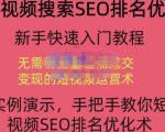 宋老师·短视频搜索SEO优化,教你10分钟创作一个短视频,三天排名上第一-知一资源网