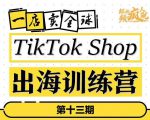 TikTokShop出海训练营(第十三期),打开全球流量新思维,出海抢占全球新流量,一店卖全球-知一资源网