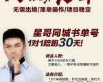 星哥同城教育书单号课程,无需出境简单操作项目稳定-知一资源网