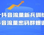 Peter抖音流量新兵训练营-破解抖音流量密码群爆训练营(新兵)-知一资源网
