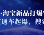 凌童·淘宝新品打爆实战班,直通车起爆、搜索起爆-知一资源网