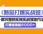 凌童《新品打爆实战班》,一套完整的实操实战落地方法,打爆链接超2000+(28节课)-知一资源网