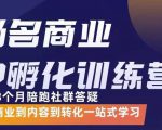 杨名商业IP孵化训练营，从商业到内容到转化一站式学 价值5980元-知一资源网
