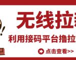 最新接码无限拉新项目，利用接码平台赚拉新平台差价，轻松日赚500+-知一资源网